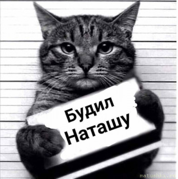 Страшнее кошки зверя нет  - 951x960_0xac120003_13273052141588186260.jpg