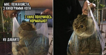 Страшнее кошки зверя нет  - og_og_1587090435229981248.jpg