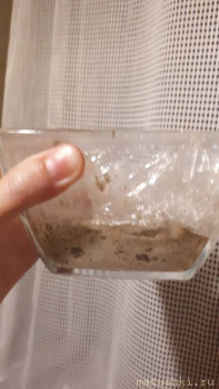 Домашний хлеб из духовки  - 20200707_214440.jpg