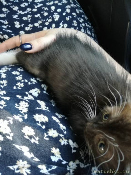 Это мы едем и пугаемся всего и сразу