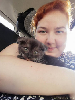 Любимая кошатинка  - IMG_20200723_175349.jpg