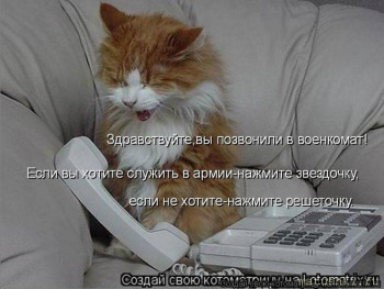 Страшнее кошки зверя нет  - 87c75c84c738ea7e1de6585a7bcd0fb7.jpg