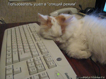 Страшнее кошки зверя нет  - кот спящий.jpg