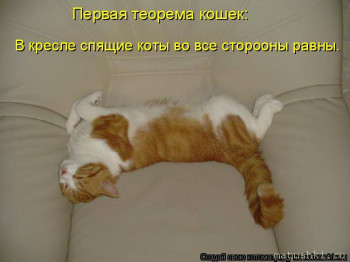 Страшнее кошки зверя нет  - 610046.jpg