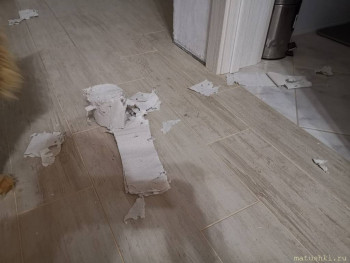 Страшнее кошки зверя нет  - IMG-20200810-WA0006.jpg