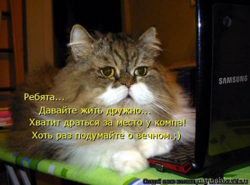 Страшнее кошки зверя нет  - s1200 (5).jpeg