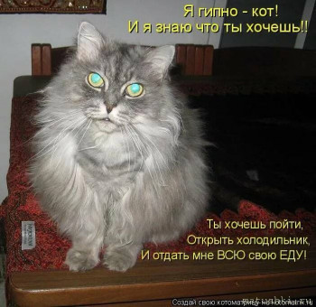 Страшнее кошки зверя нет  - s1200 (4).jpeg