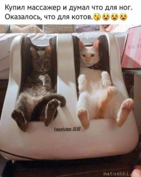 Страшнее кошки зверя нет  - 5f64eb4b5b54b7f8bf5a5d7e11bd2c18927ae5f2047355732d4e0260e6659aab-1.jpg