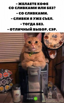 Страшнее кошки зверя нет  - 963.jpg