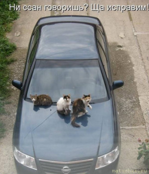 Страшнее кошки зверя нет  - anekdot_054.jpg