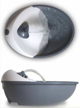 Любимая кошатинка  - Screenshot_20200823_092657.jpg