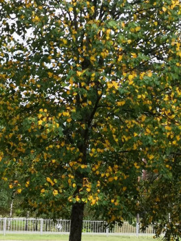 А что у нас с погодой? -6 - IMG_20200825_164522.jpg