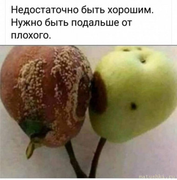 Памятки - 1w-5fVW9hjA.jpg