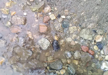 Здравствуйте, матушки. - P_20201022_110606.jpg