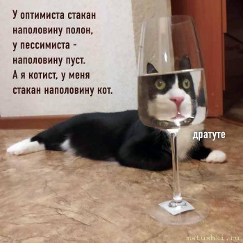 Любимая кошатинка  - LMT0IXkwCMQ.jpg