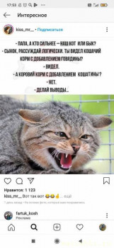 Страшнее кошки зверя нет  - Screenshot_2020-11-06-17-53-28-684_com.instagram.android.jpg