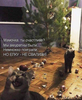 Страшнее кошки зверя нет  - 2QJ2kpRoLkg.jpg