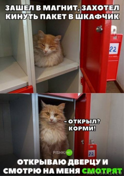 Страшнее кошки зверя нет  - 328.jpg