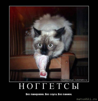 Страшнее кошки зверя нет  - V.jpg