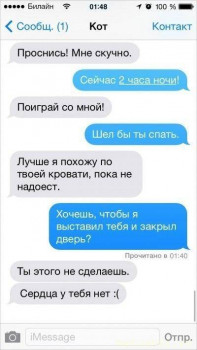 Страшнее кошки зверя нет  - 1.jpg