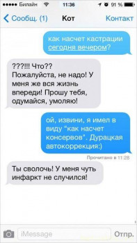 Страшнее кошки зверя нет  - 4.jpg