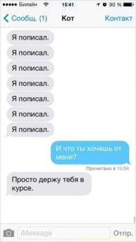 Страшнее кошки зверя нет  - 9.jpg