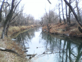 Уходящая осень