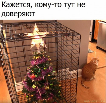 Страшнее кошки зверя нет  - TMoIsvj75Wo.jpg