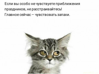 Флудилки-4 - xJahBoAtvIc.jpg