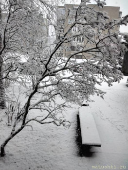 А что у нас с погодой? -6 - IMG_20210101_104113.jpg