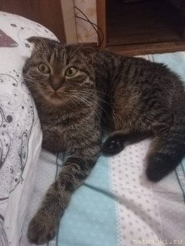 Любимая кошатинка  - IMG_20210114_205101.jpg