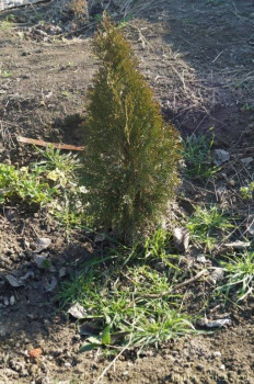 А что у нас с погодой? -6 - 3.JPG