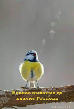 ВесЁлыЕ кАртинКи про нОтки, МУзыКу и т.п. - xZDVtzmckns.jpg