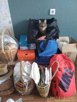 Любимая кошатинка  - IMG_20210218_123610.jpg