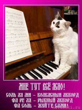 ВесЁлыЕ кАртинКи про нОтки, МУзыКу и т.п. - 2GEn-Q516CQ.jpg