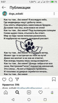 Я потеряла своего питомца  - S10320-090714.jpg