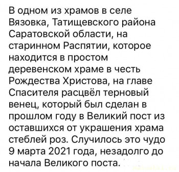 Новость дня - 4 - IMG-20210325-WA0001.jpg