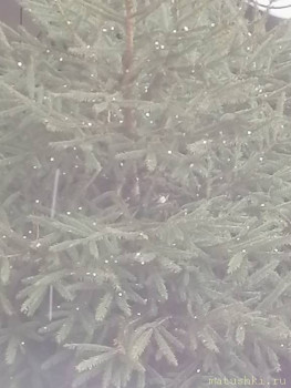 А что у нас с погодой? -6 - IMG_20210403_140837.jpg