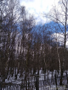 А что у нас с погодой? -6 - IMG_20210403_123904.jpg