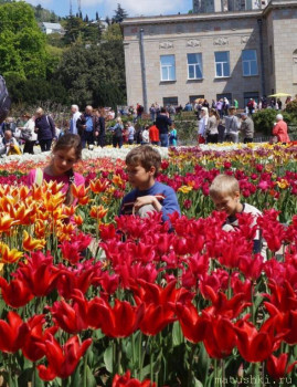 Растения моего региона, которые мне нравятся. - 22.JPG