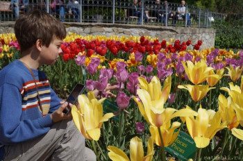 Растения моего региона, которые мне нравятся. - 88.JPG