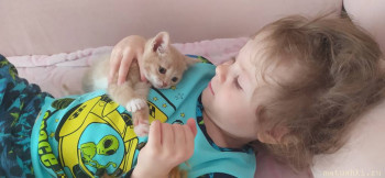 Любимая кошатинка  - IMG_20210415_134047.jpg