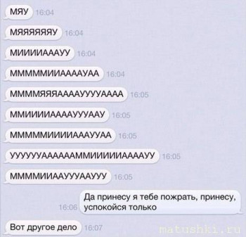 Страшнее кошки зверя нет  - MJvNU4-V6kg.jpg