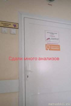 О здравии младенца Елизаветы  - Screenshot_20210622-120803_Instagram.jpg