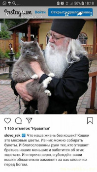 Любимая кошатинка  - Screenshot_20210807-181900.jpg