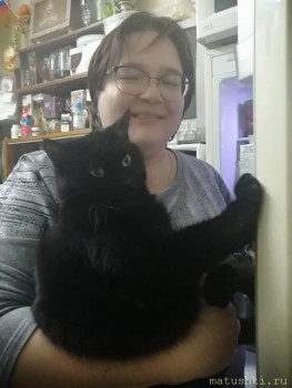 Любимая кошатинка  - IMG_20200917_192247.jpg