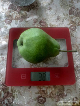 Сельское хозяйство по полной - P10901-150554.jpg