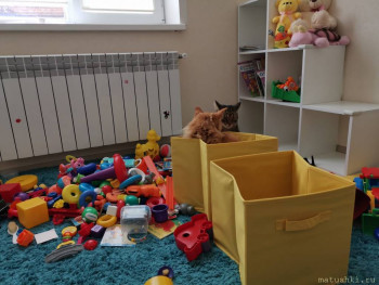 Любимая кошатинка  - IMG-20210911-WA0006.jpg