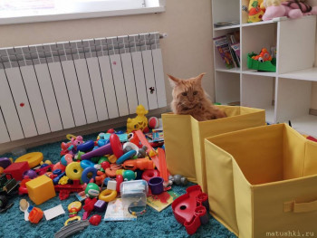 Любимая кошатинка  - IMG-20210911-WA0008.jpg