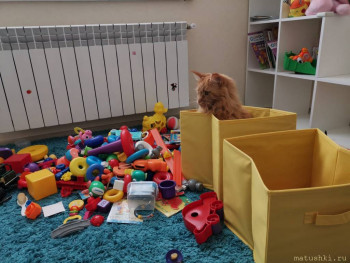 Любимая кошатинка  - IMG-20210911-WA0007.jpg